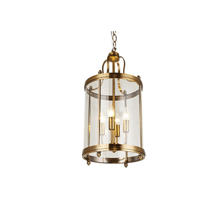 Unique Design Metal Iron Hanging Pendant Lamp Vintage Iron Material Bird Cage Brass Glass Industrial Light Pendant, Vintage Bird Cage Pendant Lamp, operation11